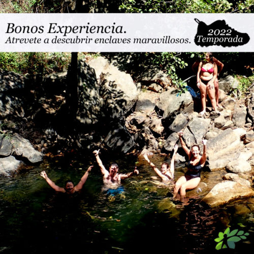 bonos experiencia 2022