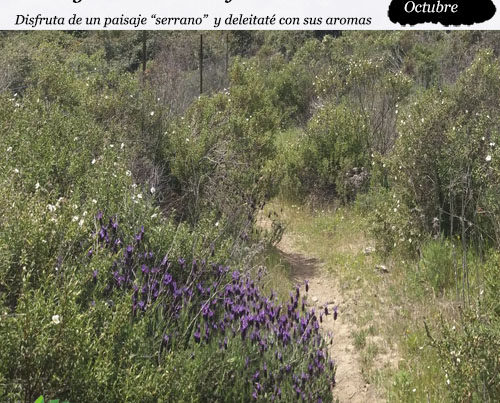 enclave-deportivo-jabuguillo-valdezufre-la-umbria-portada