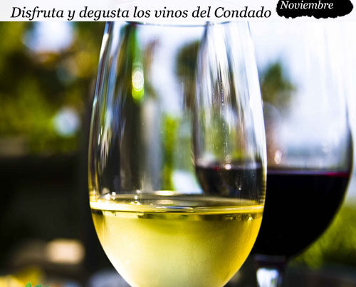 enclave-deportivo-vino-nuevo-noviembre-2019