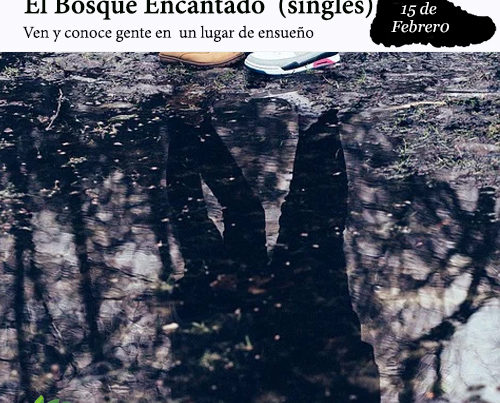 enclave-deportivo-bosque-encantado-portada-singles-2020