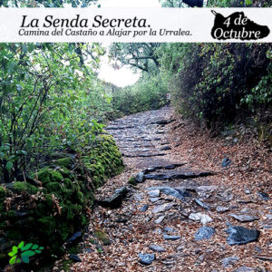 enclave-deportivo-senda-secreta
