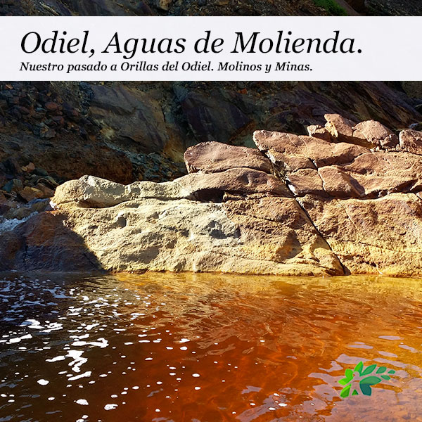 enclave-deportivo-MOLINOS-DEL-ODIEL1