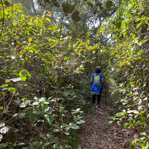 Circular Del Barranco Del Dundun 03 De Abril 2021 Enclave Deportivo