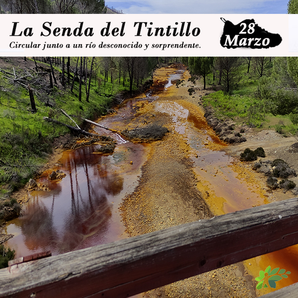 enclave-deportivo-senda-del-tintillo22