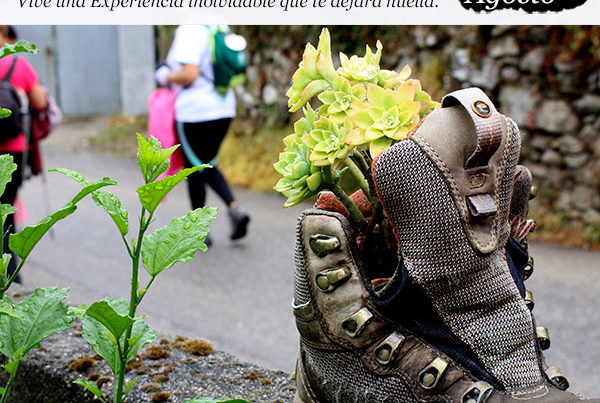 enclave-deportivo-camino-de-santiago-frances