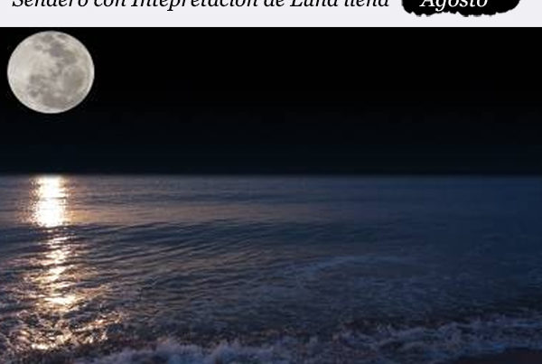 enclave-deportivo-luna-rio-piedras