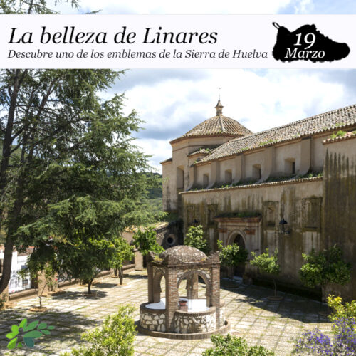 Enclave_Deportivo_La belleza de Linares_2022