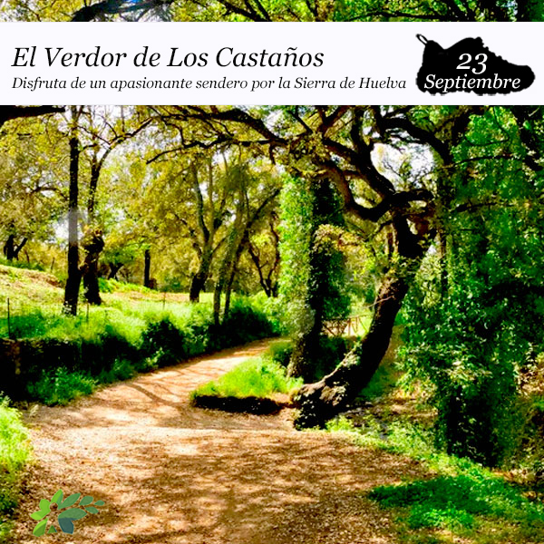 Enclave Deportivo_El Verdor de los Castaños 2023