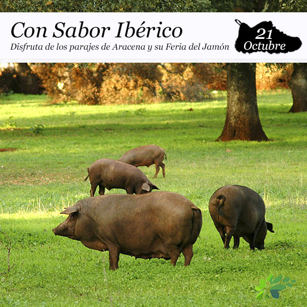Enclave Deportivo_Con Sabor Ibérico_2023
