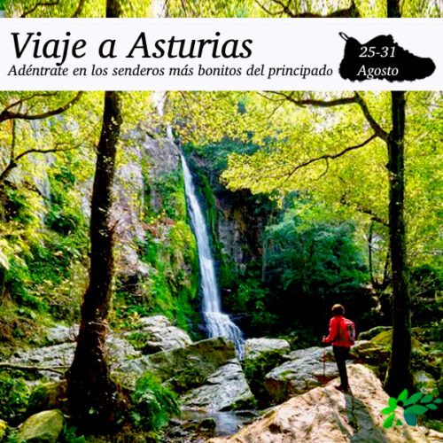 Enclave Deportivo_Asturias_2024