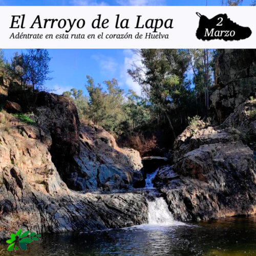 Enclave Deportivo_Arroyo de la Lapa_2024