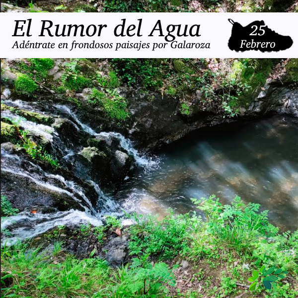 Enclave Deportivo_Rumor del Agua2_2024