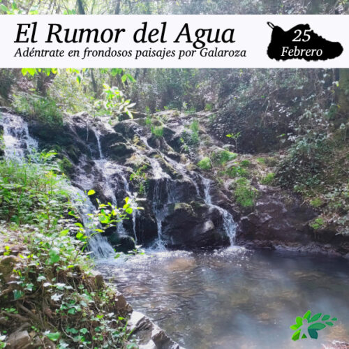 Enclave Deportivo_Rumor del Agua_2024