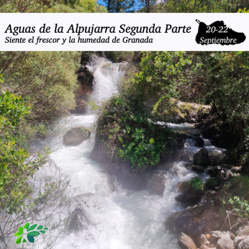 AGUAS DE LA ALPUJARRA22