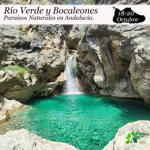 enclavedeportivo-rio-verde-bocaleones-10