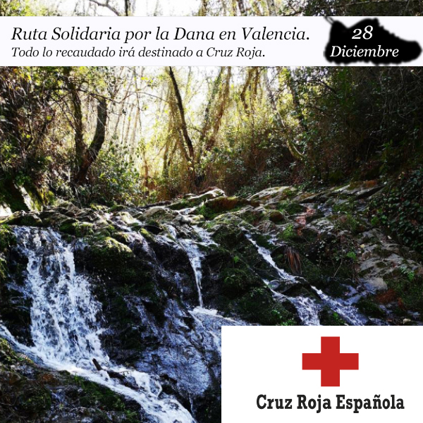 ruta solidaria