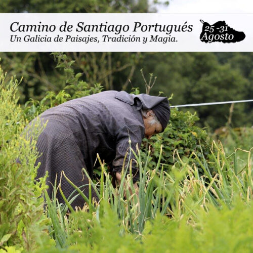 enclavedeportivo-camino-de-santiago-portugues-2025-4