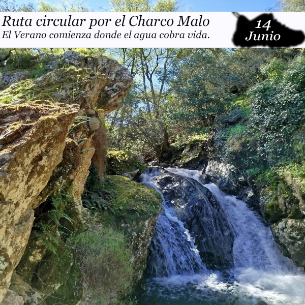 portada charco malo
