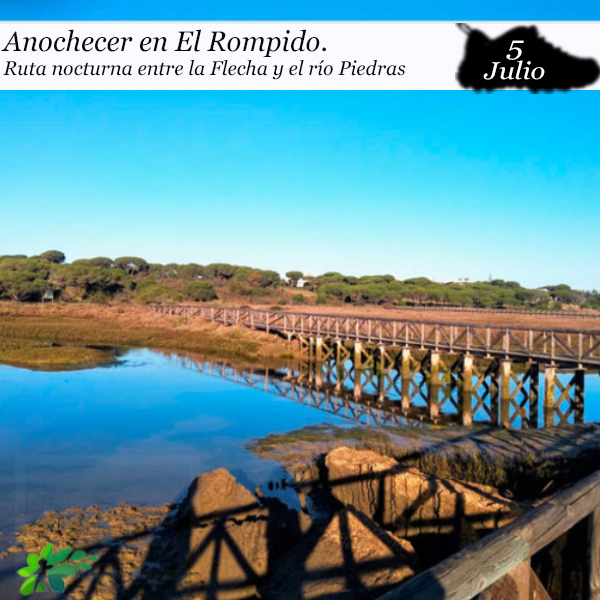 rio piedras