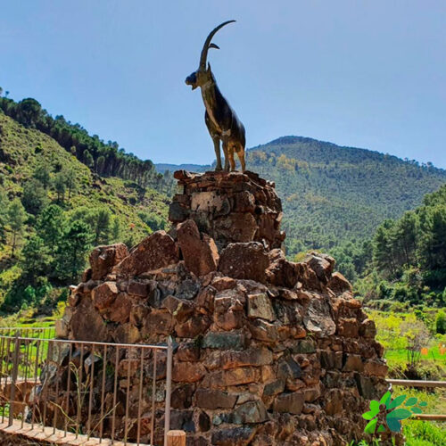 enclavedeportiv-sierra-de-las-nieves-2025