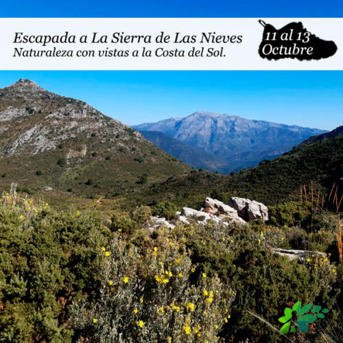 enclavedeportiv-sierra-de-las-nieves-2025