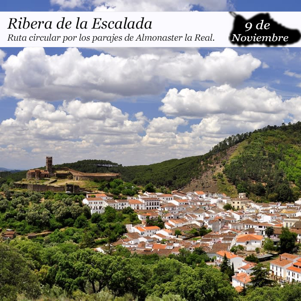 ALMONASTER LA REAL