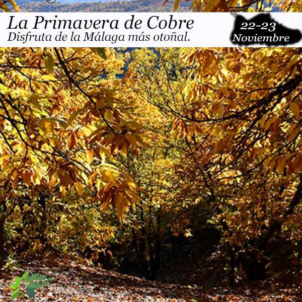 cobre