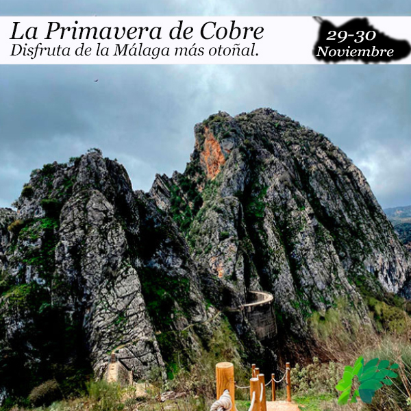 cobre