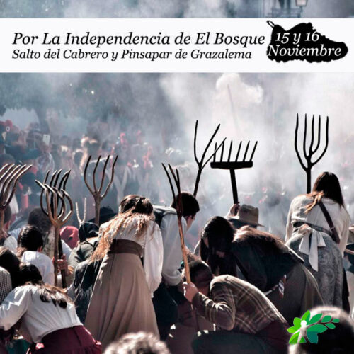 enclave-deportivo-senderismo-recreación-el-bosque2.