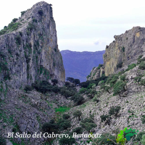 enclave-deportivo-senderismo-salto-el-cabrero