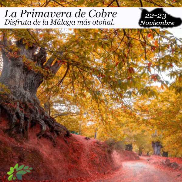 primavera