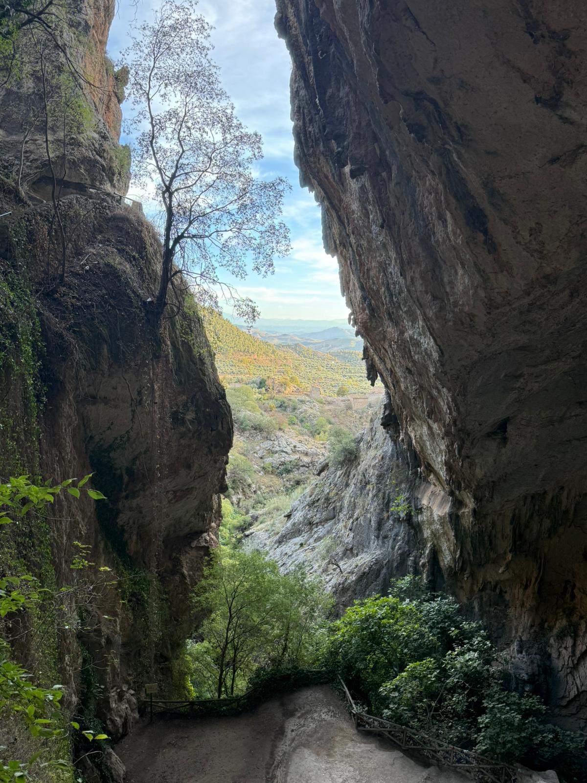 WhatsApp Image 2025-11-01 at 20.48.35