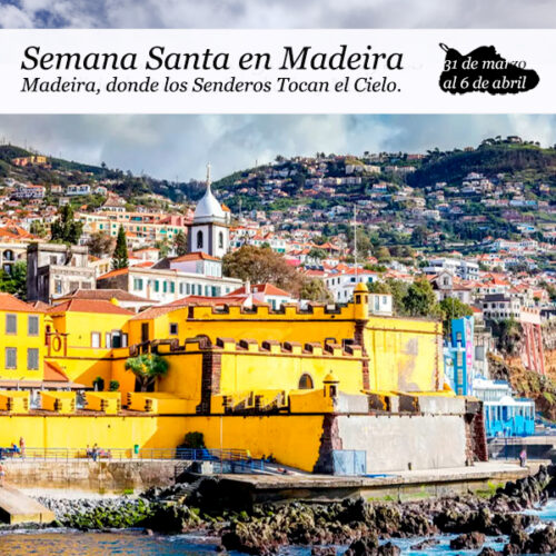 enclavedeportivo-madeira