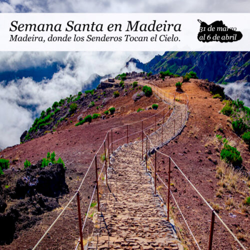 enclavedeportivo-madeira