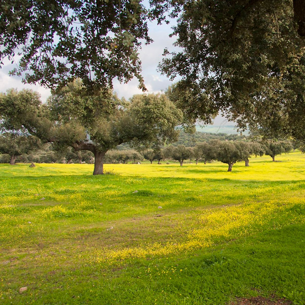 huelva-y-senda-enclave-deportivo-ssenderismo