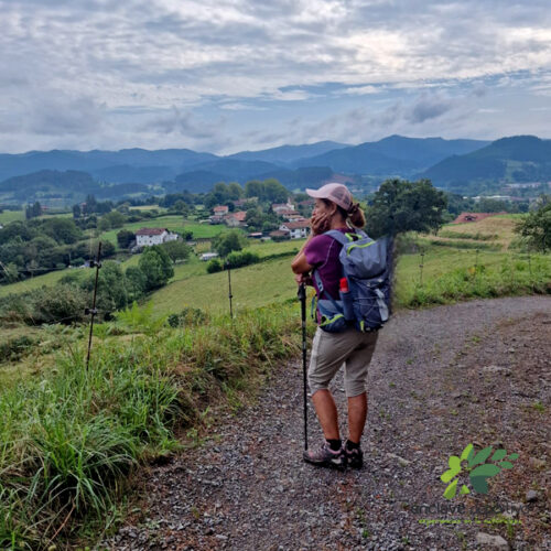 enclavedeportivo-senderismo-c-frances
