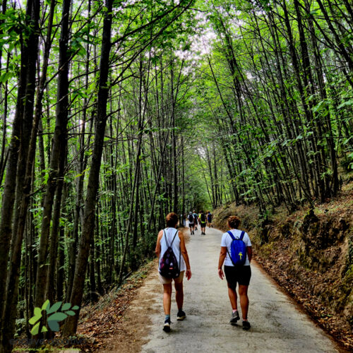 enclavedeportivo-senderismo-c-frances6