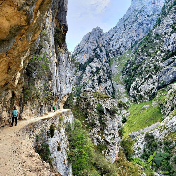 enclavedeportivo-senderismo-asturias