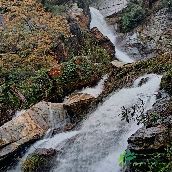 enclave-deportivo-joyarancon-senderos