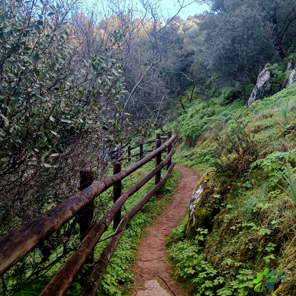 enclavedeportivo-senderismo-elgranado
