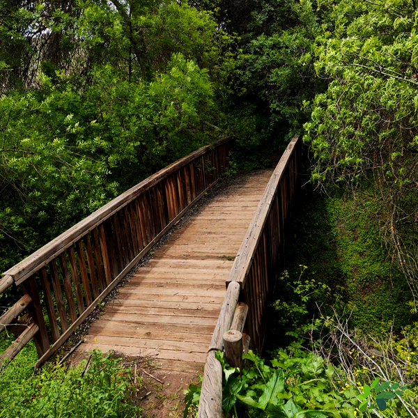 enclavedeportivo-senderismo-elgranado