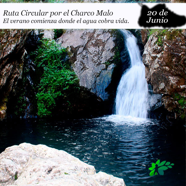 charco malo