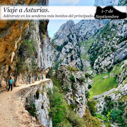 enclavedeportivo-senderismo-asturias26