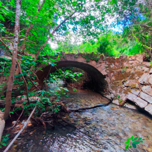 enclavedeportivo-BOCALEONES-Y-TAJO-DE-RONDA