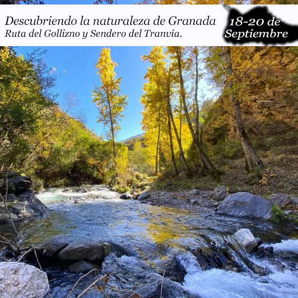 granadasa