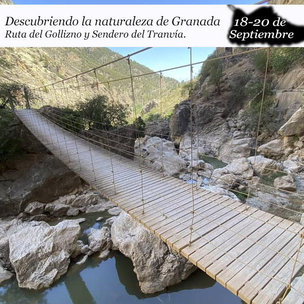 granadasasa
