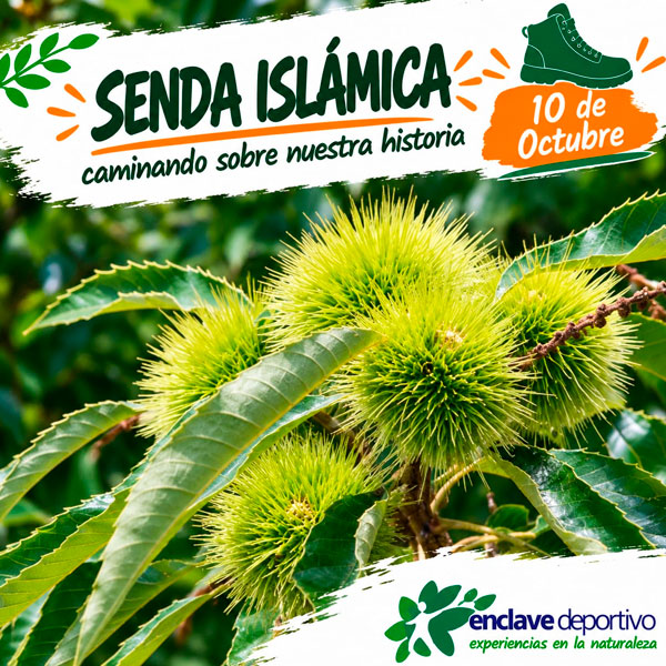 enclave-deportivo-islamicas-3