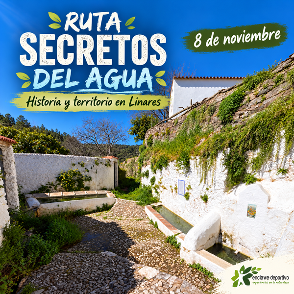 01_portada_secretos_del_agua_600x600
