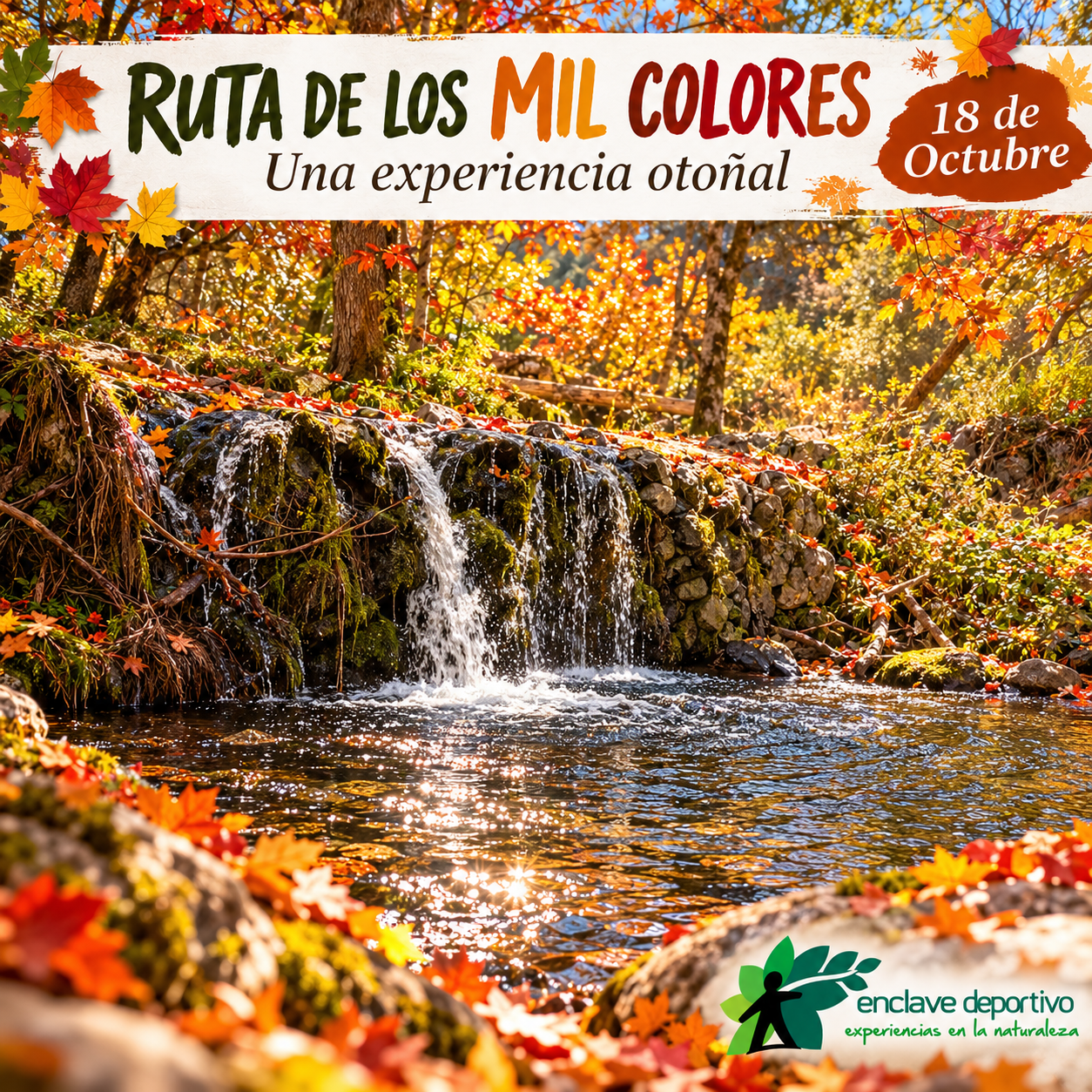 Imagen de ChatGPT 1 oct 2026, 10_46_03