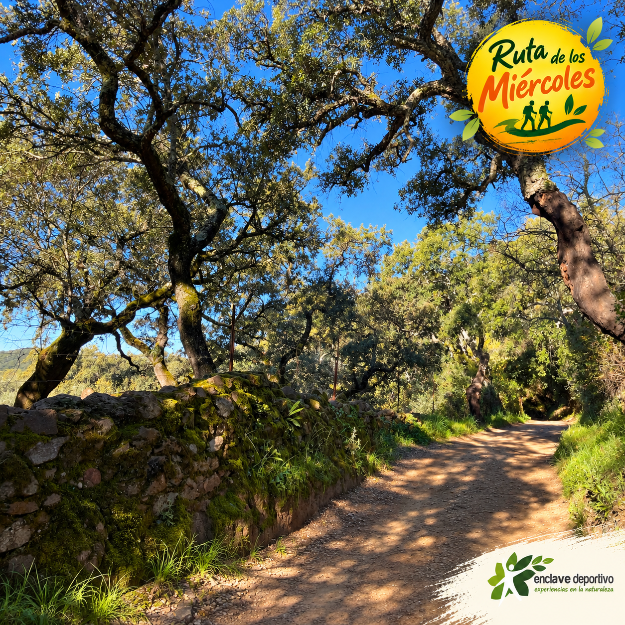 Imagen de ChatGPT 7 oct 2026, 13_19_46-2